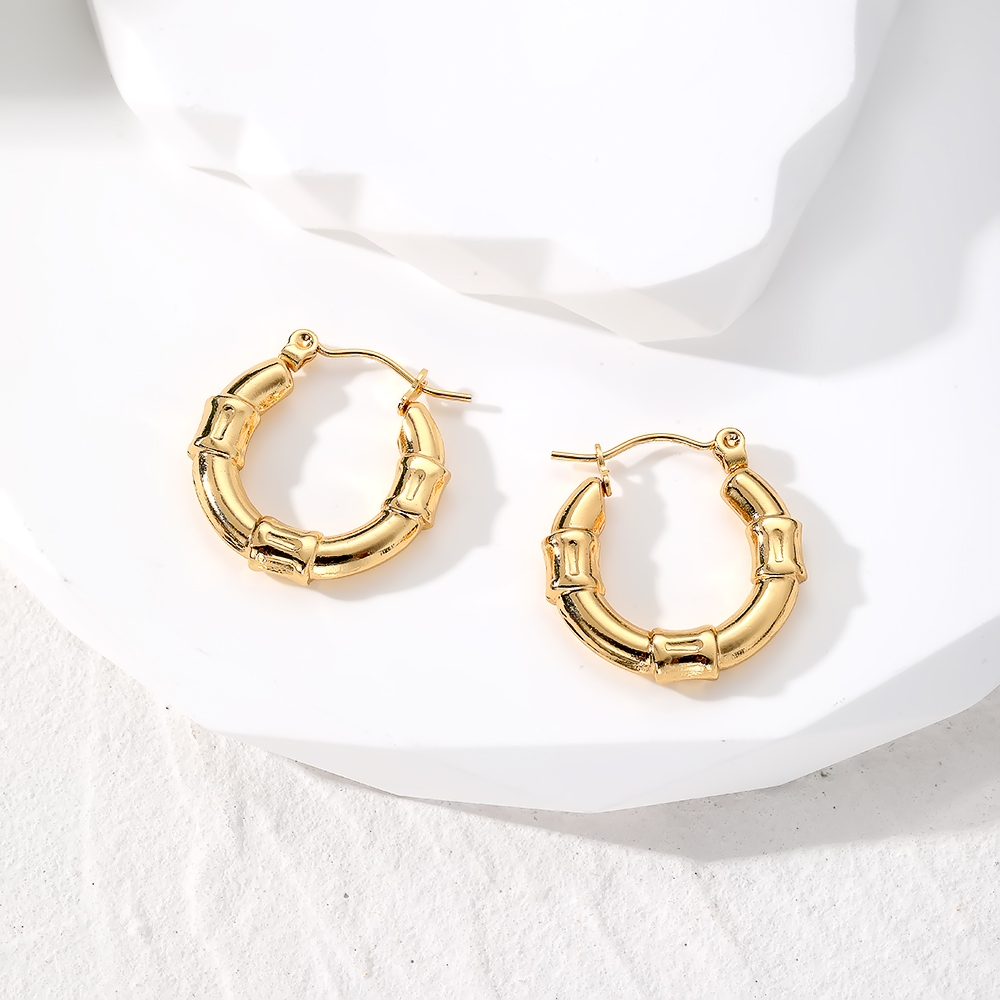 1 Pair Vintage Style Simple Style Classic Style Geometric Stainless Steel Earrings display picture 4