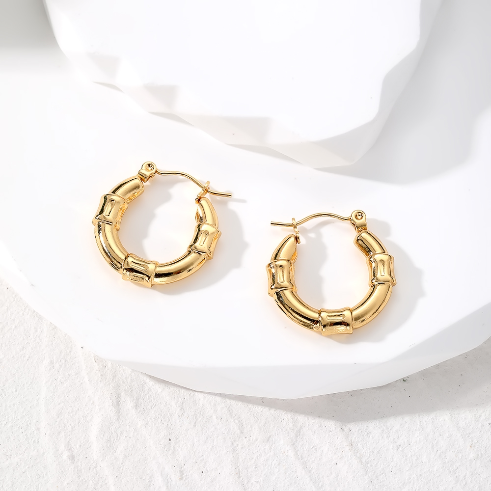 1 Paire Style Vintage Style Simple Style Classique Géométrique Acier Inoxydable Des Boucles D'oreilles display picture 4