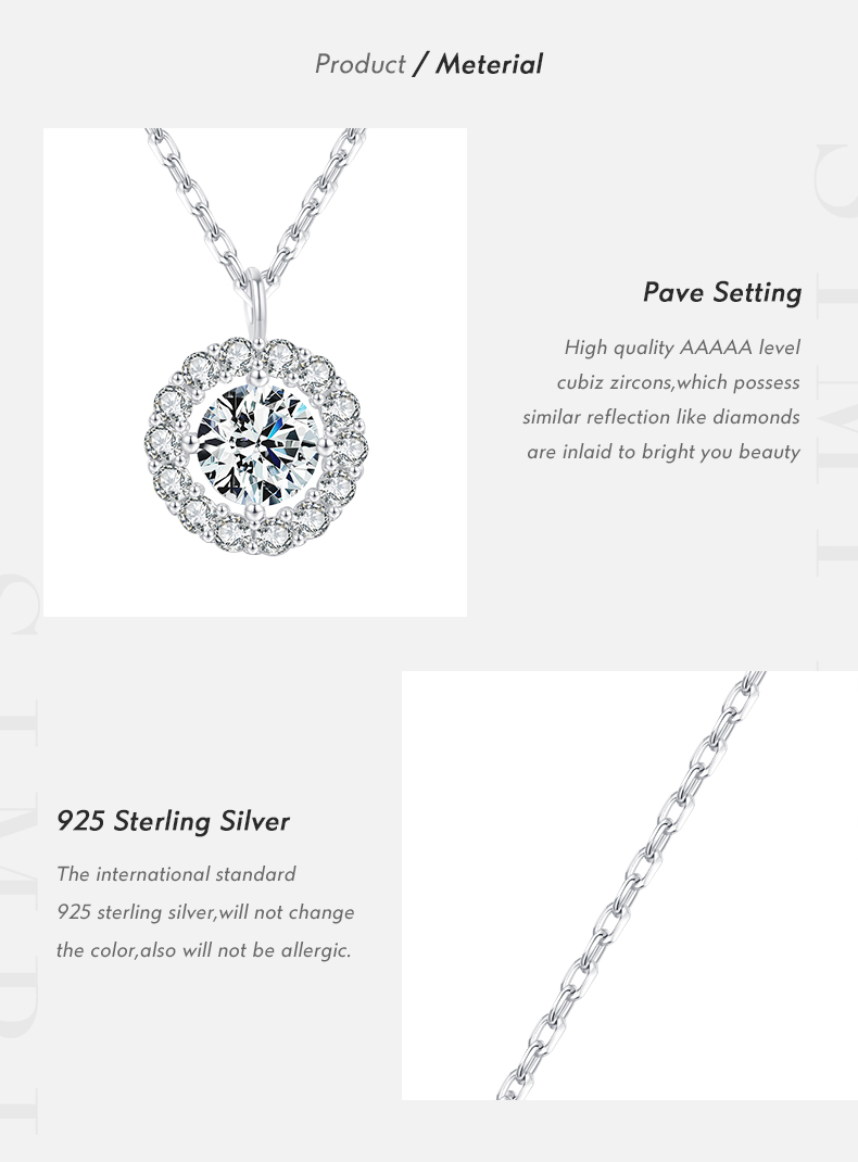 Ig Style Elegant Round Sterling Silver Rhodium Plated Zircon Necklace In Bulk display picture 3
