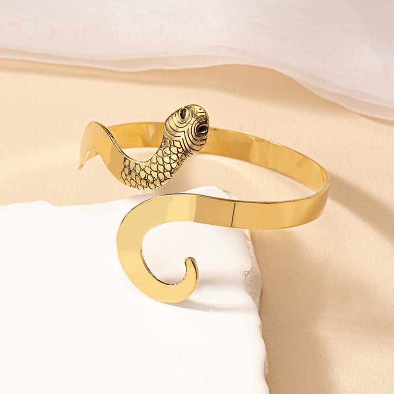 Gothique Rétro Style Cool Animal Serpent Alliage Placage Femmes Bracelet display picture 7