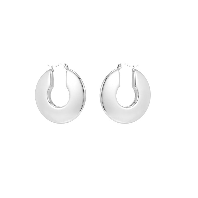 1 Pair Simple Style Commute Shiny Irregular Geometric Circle Plating Stainless Steel Earrings display picture 1