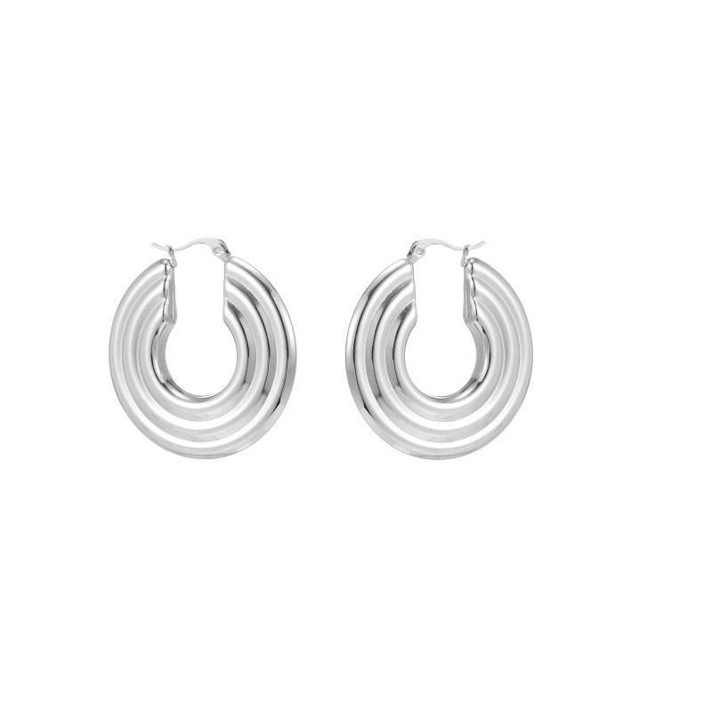 1 Pair Simple Style Commute Shiny Irregular Geometric Circle Plating Stainless Steel Earrings display picture 2