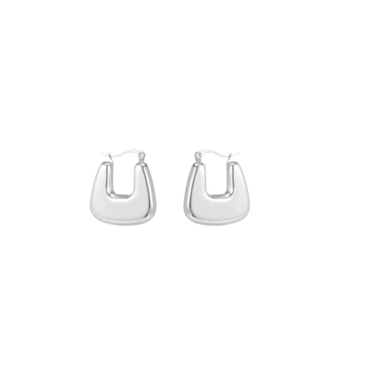 1 Pair Simple Style Commute Shiny Irregular Geometric Circle Plating Stainless Steel Earrings display picture 3
