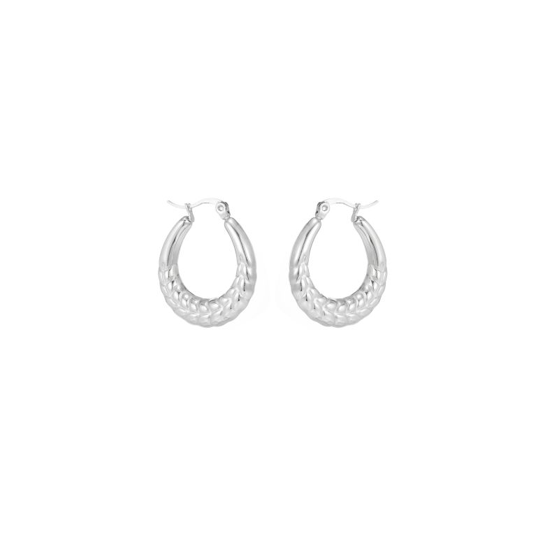 1 Pair Simple Style Commute Shiny Irregular Geometric Circle Plating Stainless Steel Earrings display picture 5