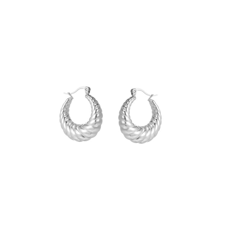 1 Pair Simple Style Commute Shiny Irregular Geometric Circle Plating Stainless Steel Earrings display picture 11