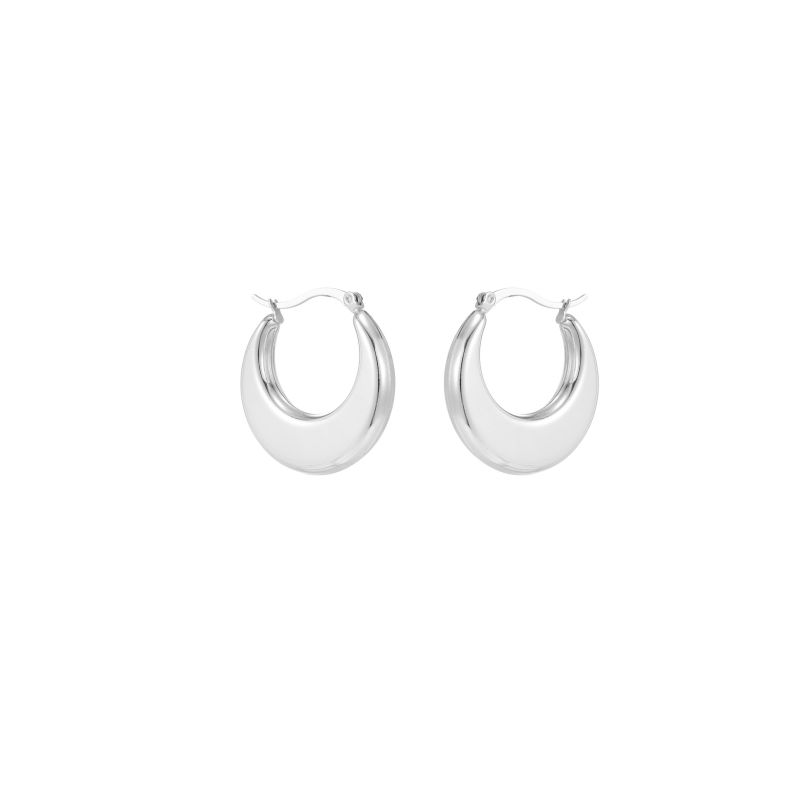 1 Pair Simple Style Commute Shiny Irregular Geometric Circle Plating Stainless Steel Earrings display picture 6