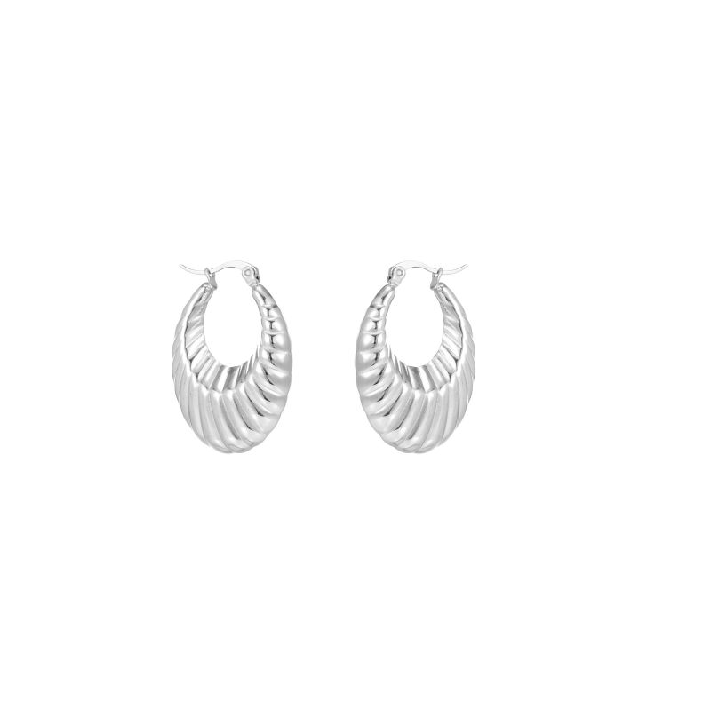 1 Pair Simple Style Commute Shiny Irregular Geometric Circle Plating Stainless Steel Earrings display picture 14