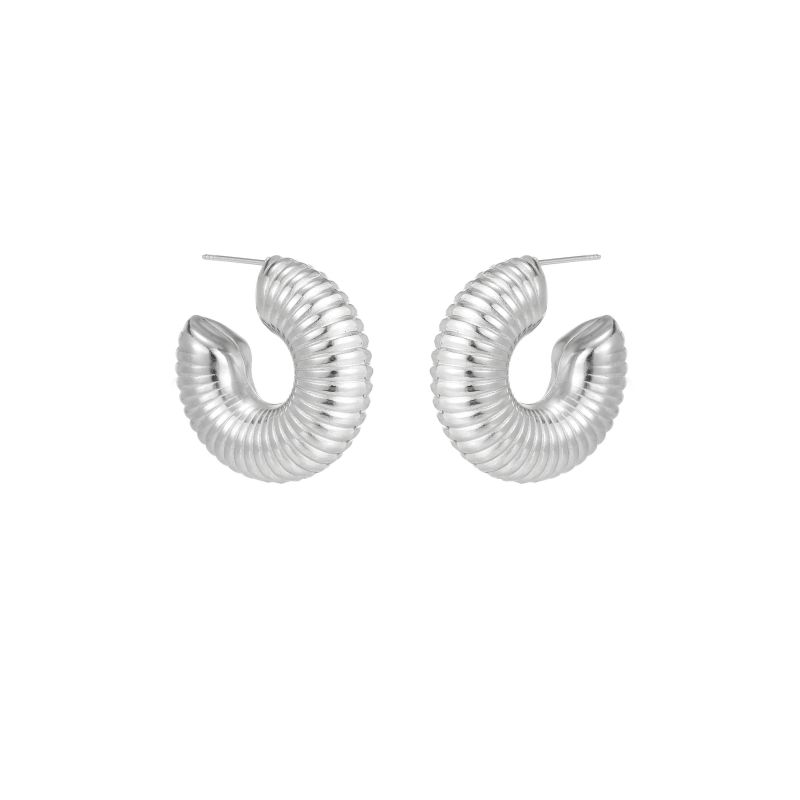 1 Pair Simple Style Commute Shiny Irregular Geometric Circle Plating Stainless Steel Earrings display picture 13