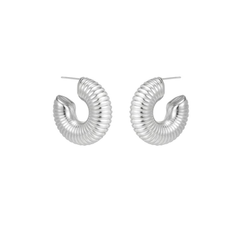 1 Par Estilo Simple Viajar Diariamente Brillante Irregular Geométrico Circulo Enchapado Acero Inoxidable Aretes display picture 13