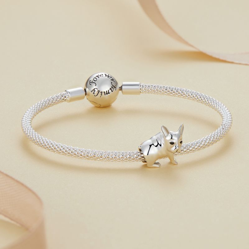 Casual Cute Dog Squirrel Sterling Silver Inlay Zircon Jewelry Accessories display picture 37