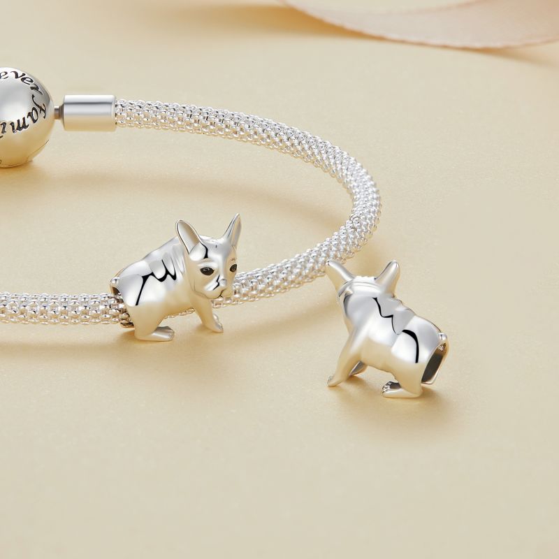 Casual Cute Dog Squirrel Sterling Silver Inlay Zircon Jewelry Accessories display picture 40