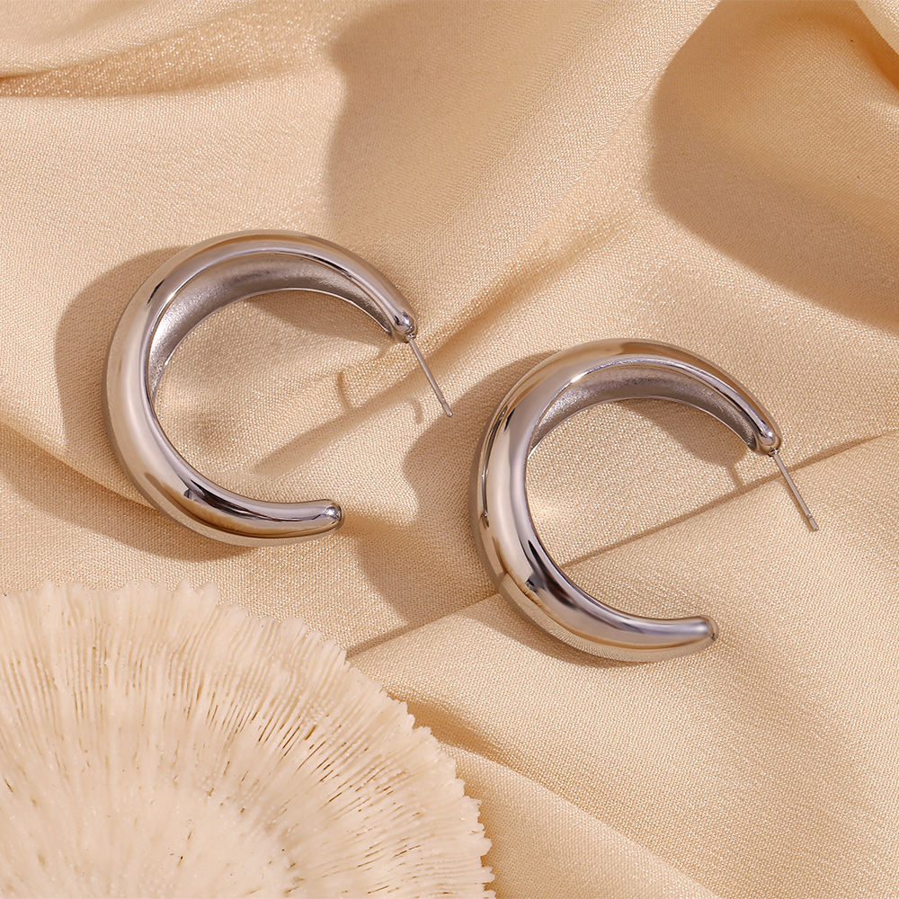 1 Pair Simple Style Classic Style C Shape Plating Stainless Steel 18k Gold Plated Ear Studs display picture 13