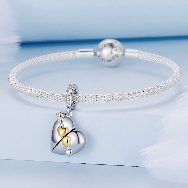 غير رسمي شكل القلب الفضة الاسترليني ترصيع الزركون اكسسوارات المجوهرات display picture 77