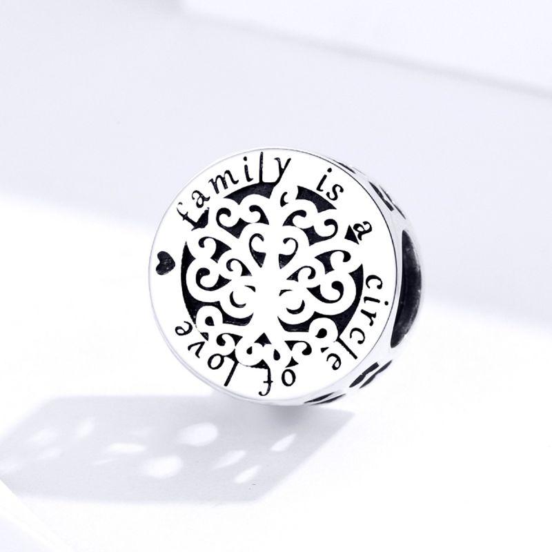 Casual Shiny Round Sterling Silver Inlay Zircon Jewelry Accessories display picture 5