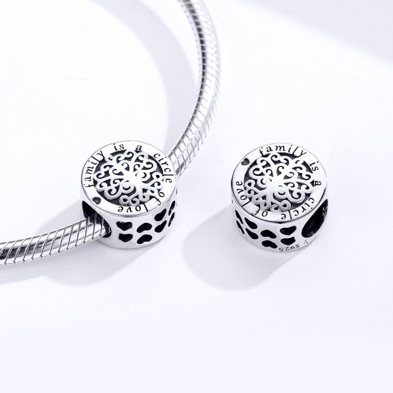 Casual Shiny Round Sterling Silver Inlay Zircon Jewelry Accessories display picture 6