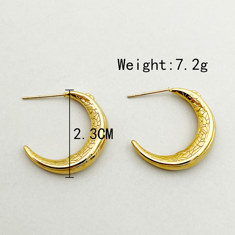 1 Pair Vacation Beach Simple Style C Shape Plating 304 Stainless Steel 14K Gold Plated Earrings display picture 8