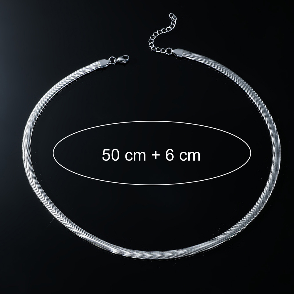 Retro Punk Simple Style Solid Color Titanium Steel Plating Silver Plated Men's Necklace display picture 2