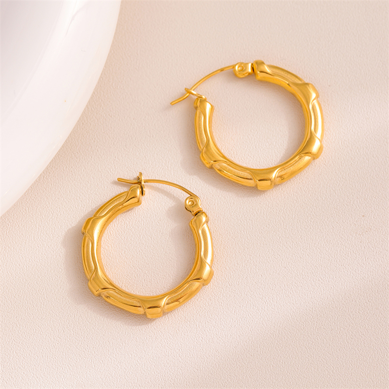 1 Pair Retro Simple Style U Shape Round Oval Plating 201 Stainless Steel Earrings display picture 25