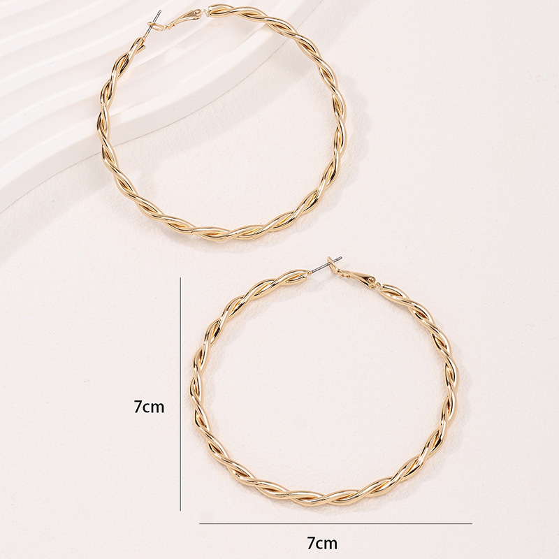 1 Pair Simple Style Circle Plating Alloy Gold Plated Hoop Earrings display picture 1