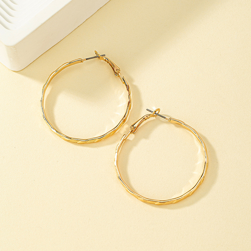 1 Pair Simple Style Circle Plating Metal Gold Plated Hoop Earrings display picture 8
