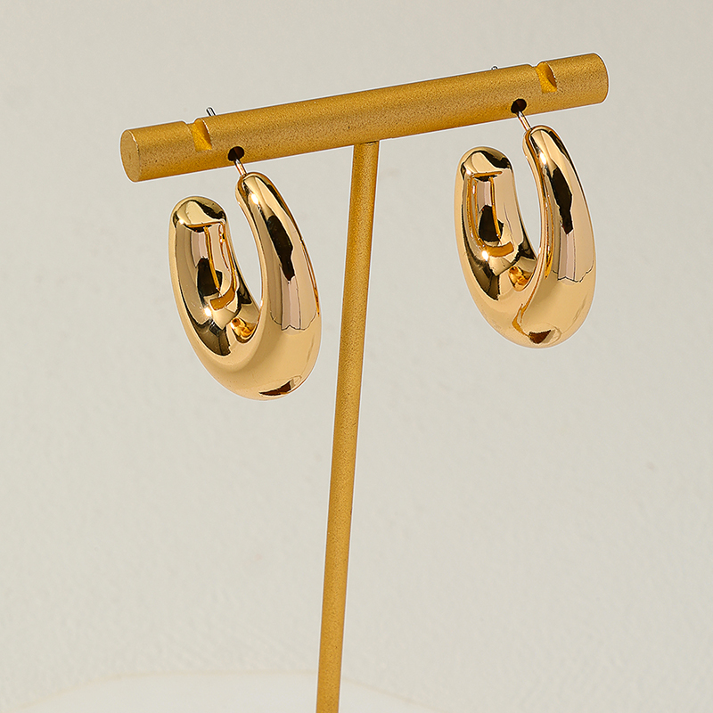 1 Pair Basic Round Metal Earrings display picture 3