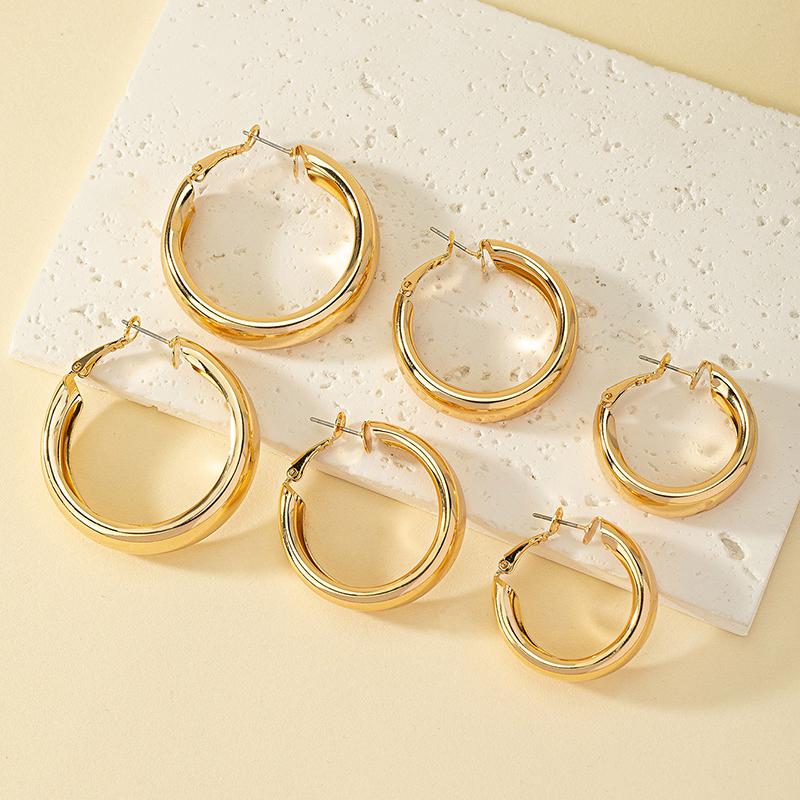 1 Set Simple Style Classic Style Commute Round Plating Alloy 14k Gold Plated Hoop Earrings display picture 1