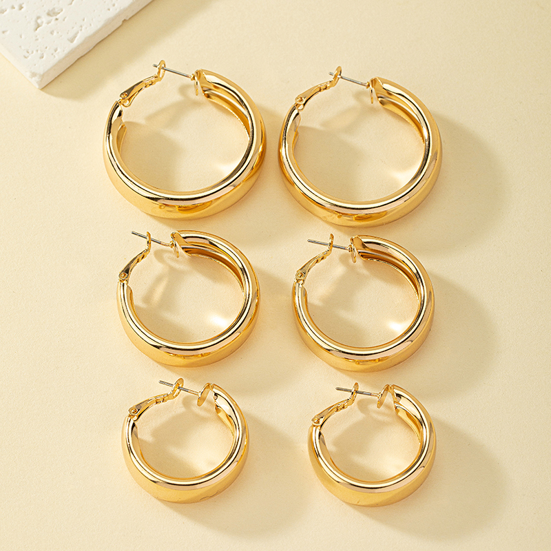 1 Set Simple Style Classic Style Commute Round Plating Alloy 14k Gold Plated Hoop Earrings display picture 3