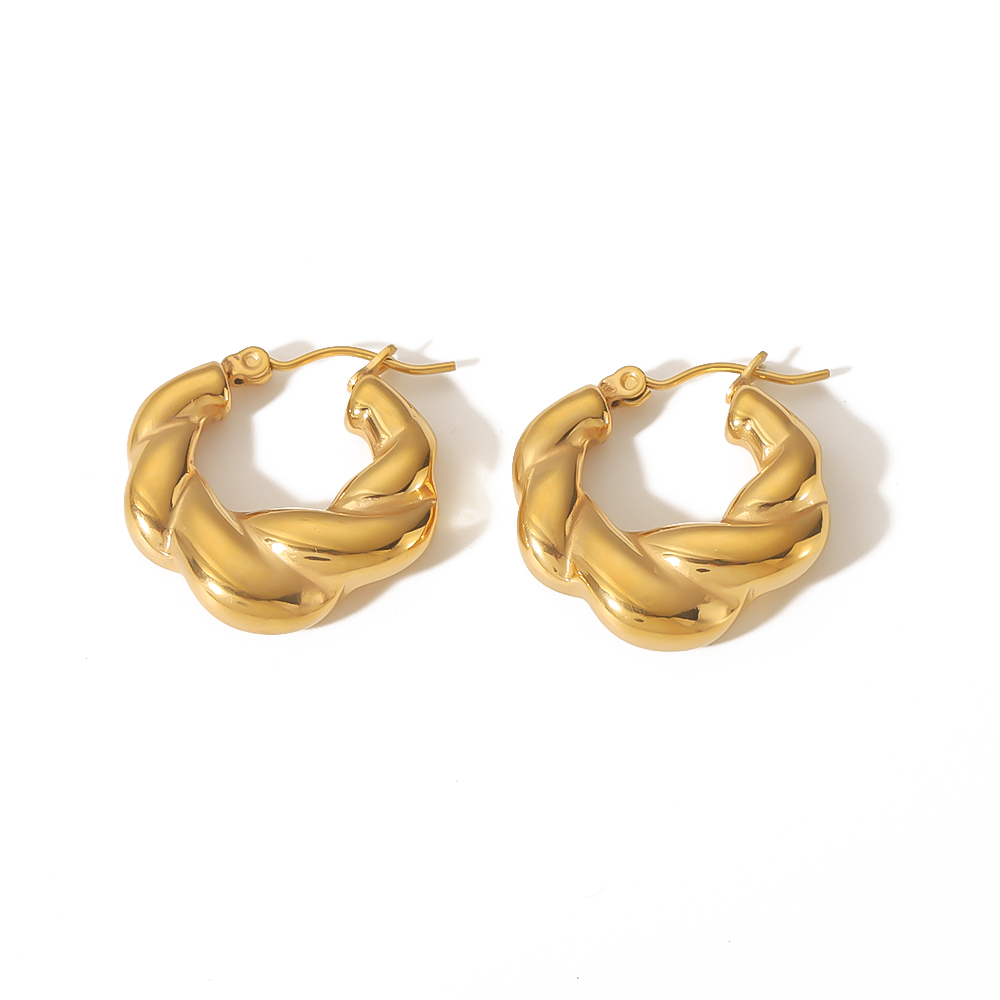 1 Pair Basic Classic Style Round Twist Polishing Plating 304 Stainless Steel Earrings display picture 5