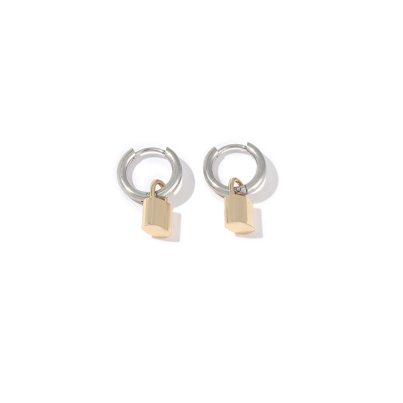 1 Pair IG Style Simple Style Lock Polishing Plating Stainless Steel 18K Gold Plated Drop Earrings display picture 4