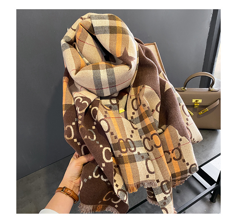 Women's Simple Style Printing Imitation Cashmere Scarf display picture 3