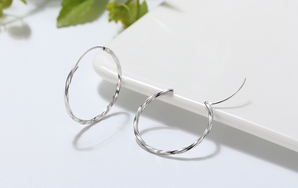 1 Pair Modern Style Classic Style Korean Style Circle Plating Sterling Silver White Gold Plated Rhodium Plated Silver Plated Hoop Earrings display picture 3