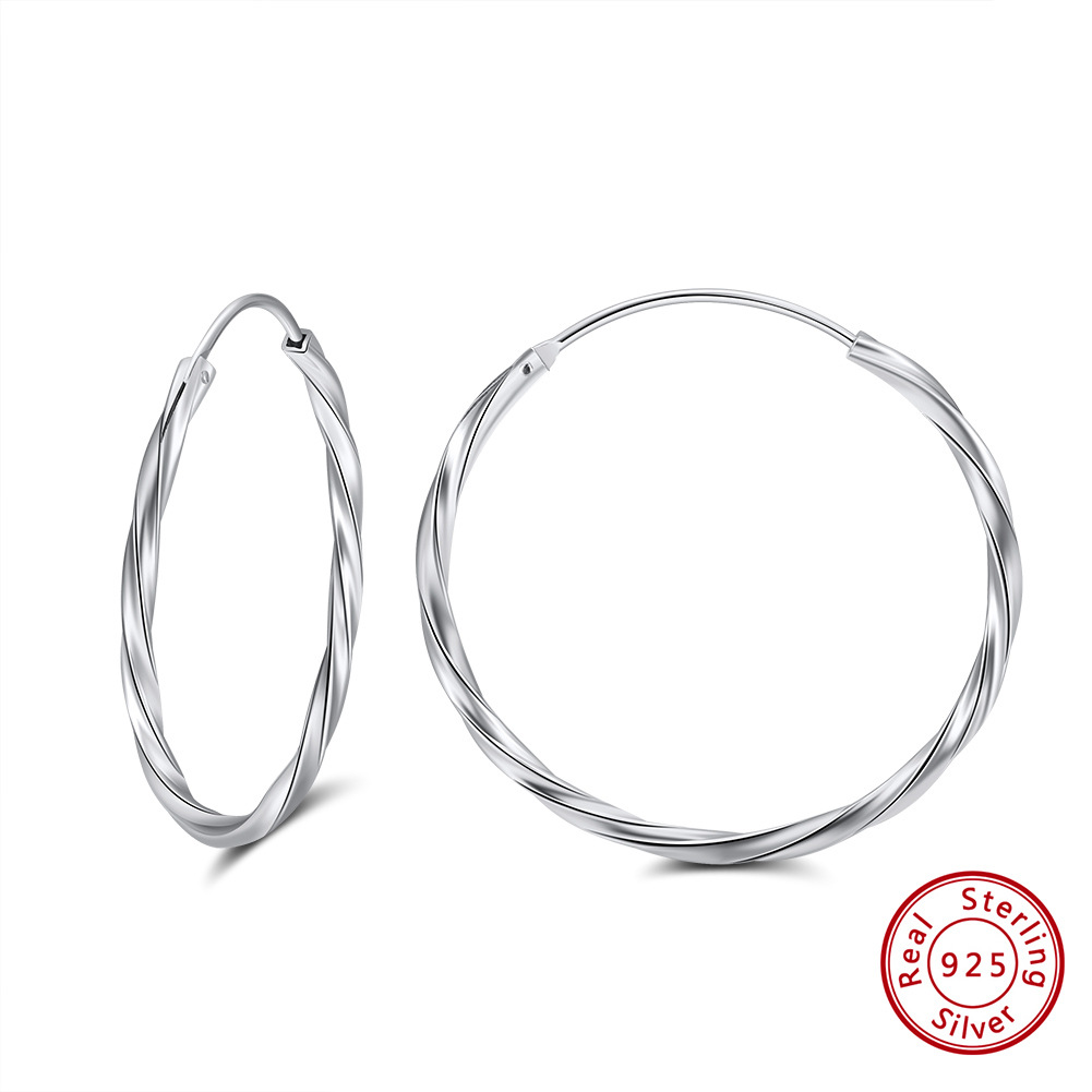 1 Pair Modern Style Classic Style Korean Style Circle Plating Sterling Silver White Gold Plated Rhodium Plated Silver Plated Hoop Earrings display picture 6