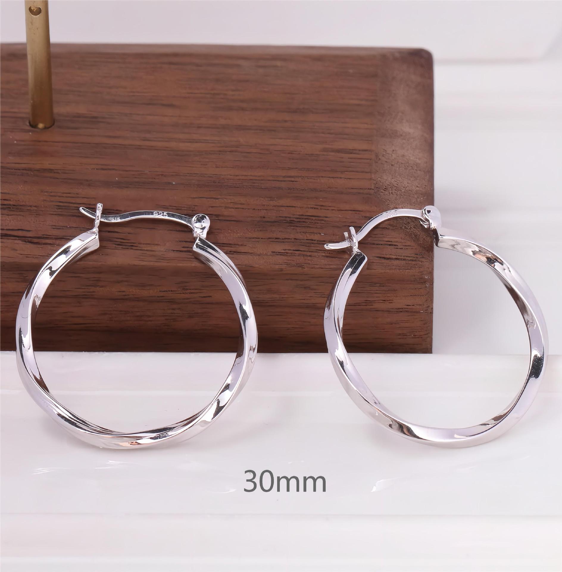 1 Pair Simple Style Circle Plating Sterling Silver Earrings display picture 11