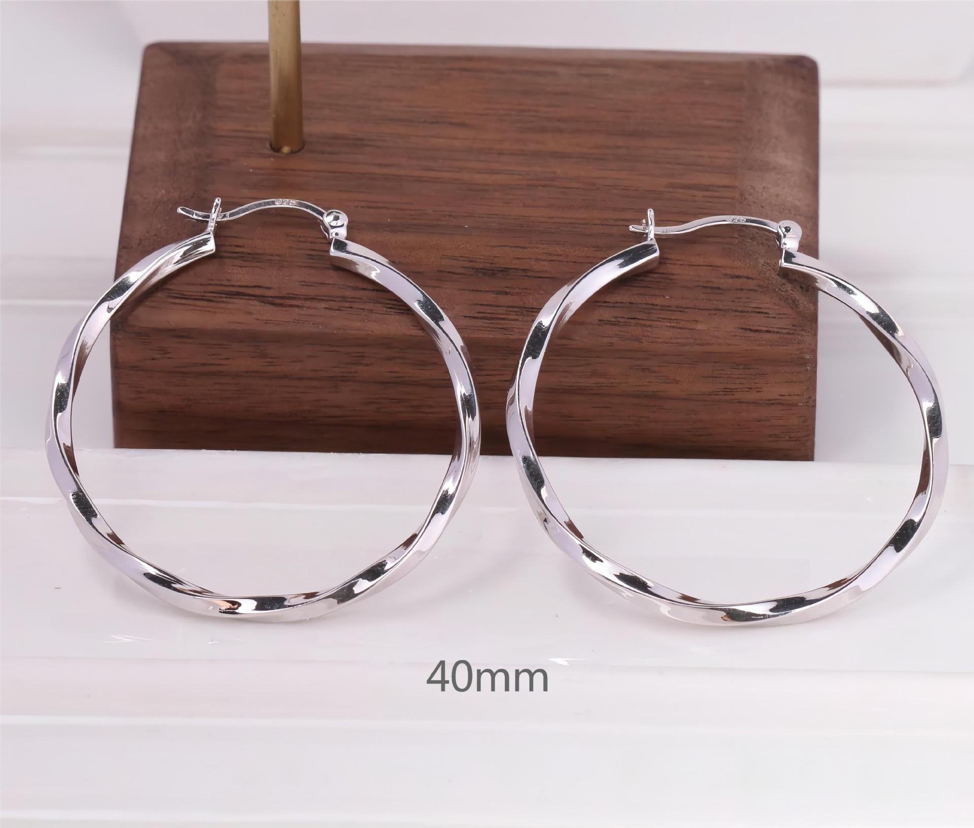 1 Pair Simple Style Circle Plating Sterling Silver Earrings display picture 14