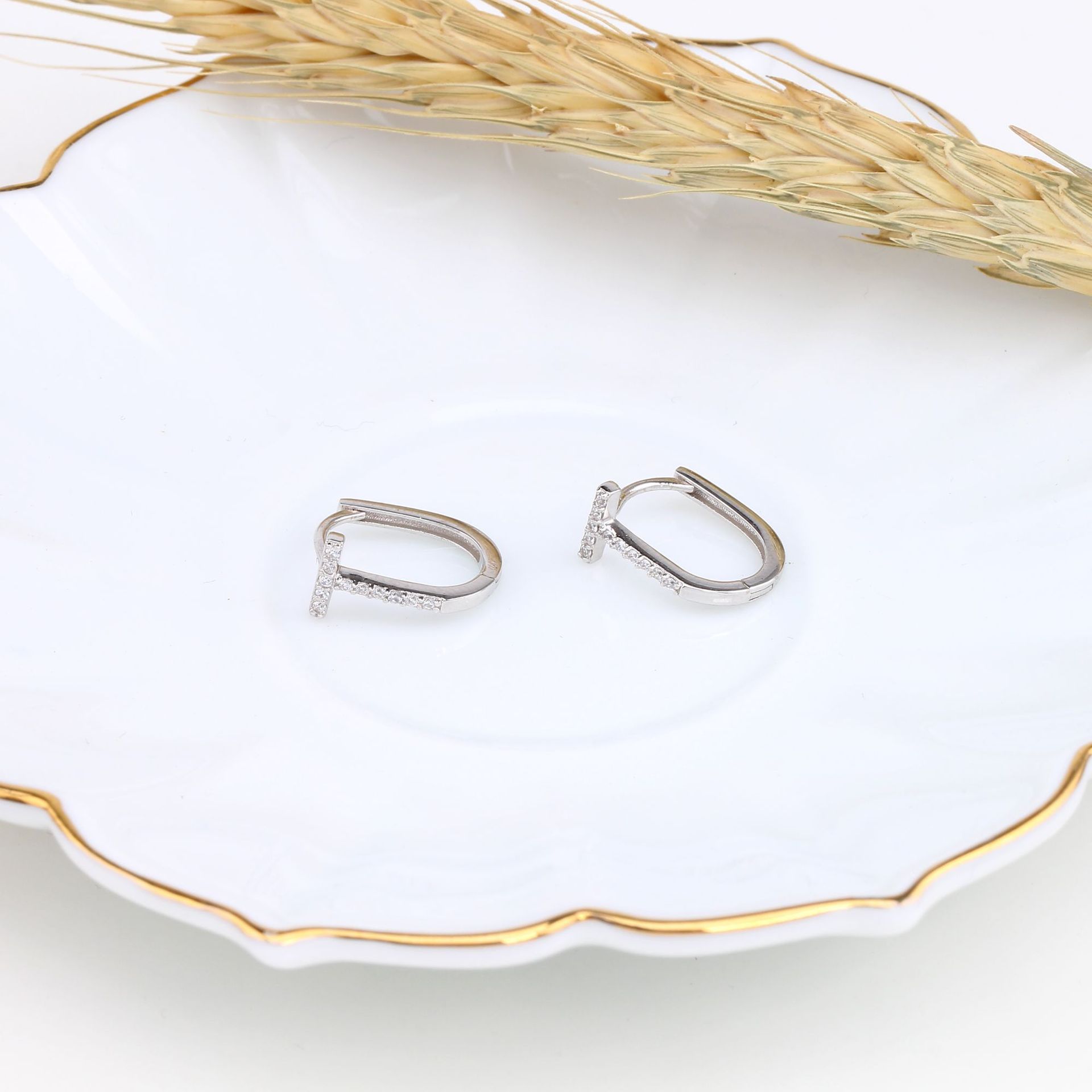 1 Pair Simple Style Cross Inlay Sterling Silver Zircon Hoop Earrings display picture 9