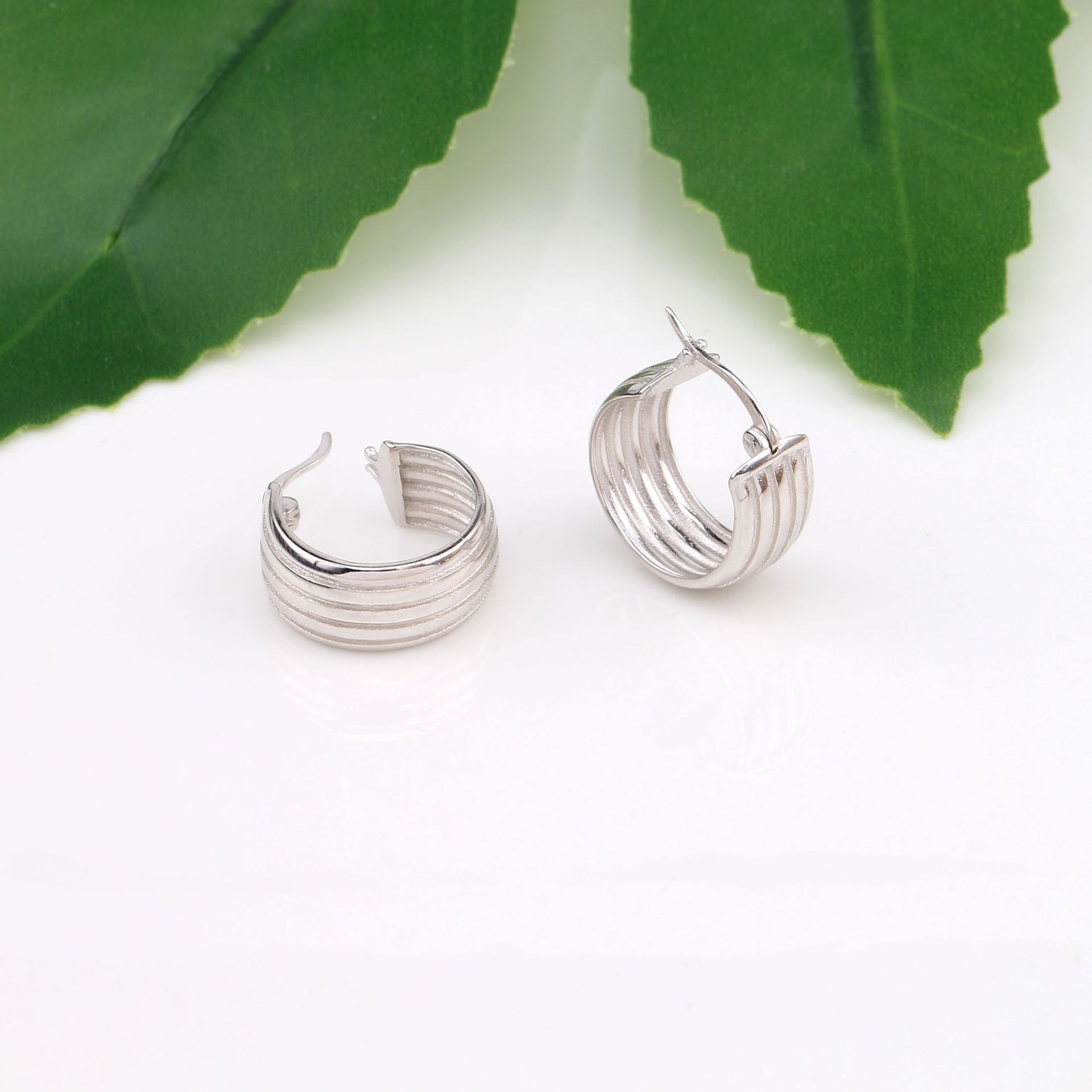 1 Pair Basic Round Plating Sterling Silver Earrings display picture 13