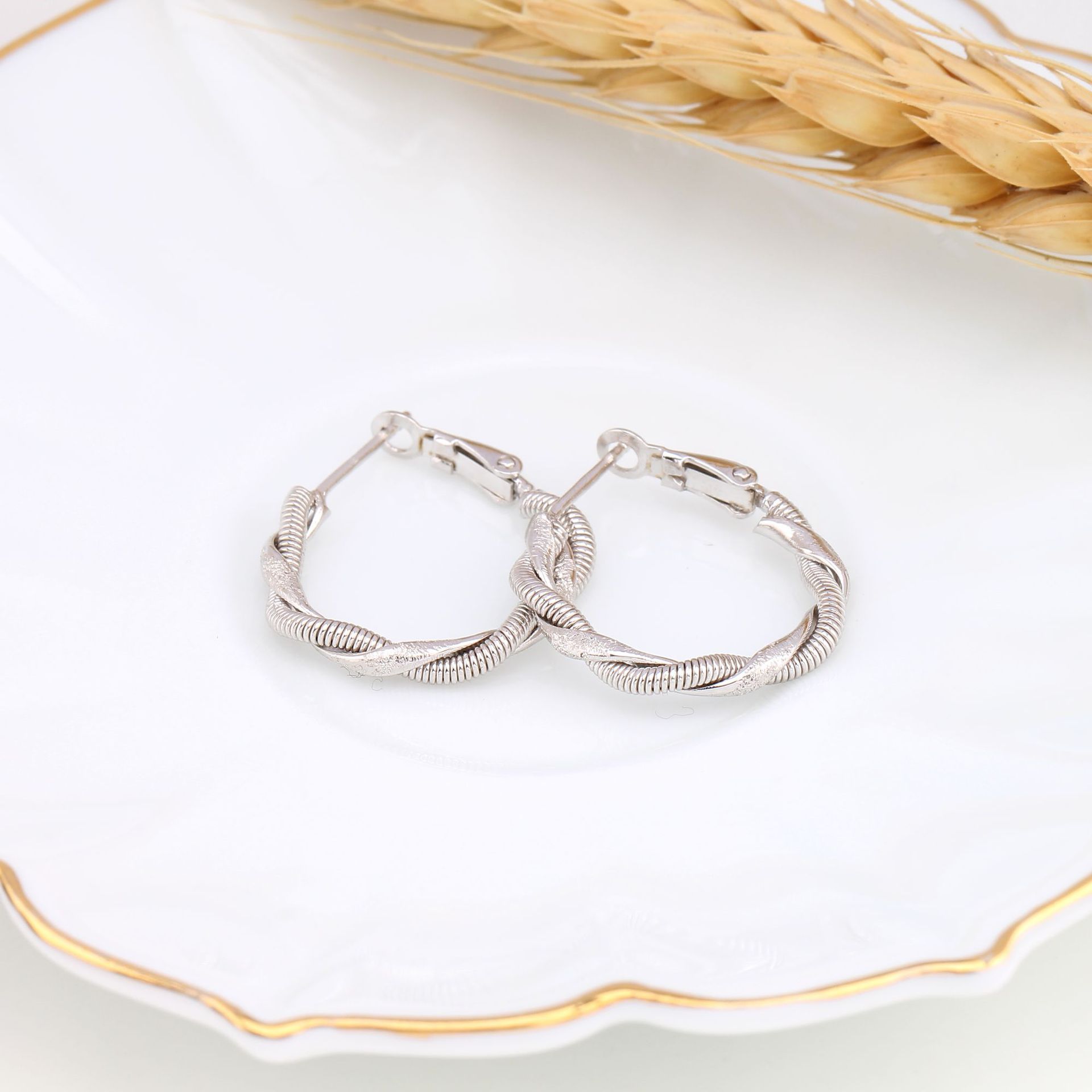 1 Pair Basic Round Plating Sterling Silver Earrings display picture 10