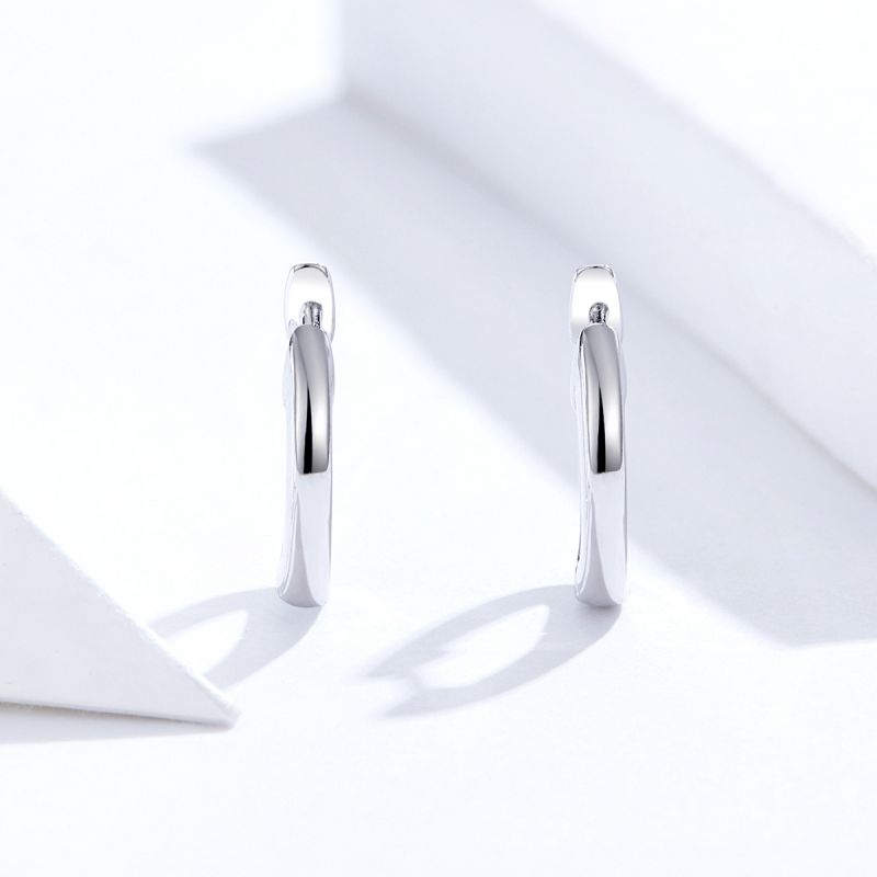 1 Paar Lässig Einfacher Stil Runden Sterling Silber Ohrringe display picture 2