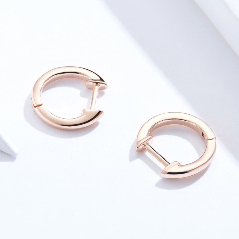 1 Pair Casual Simple Style Round Sterling Silver Earrings display picture 14