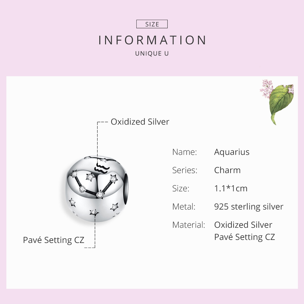 Casual Constellation Sterling Silver Inlay Zircon Jewelry Accessories display picture 4