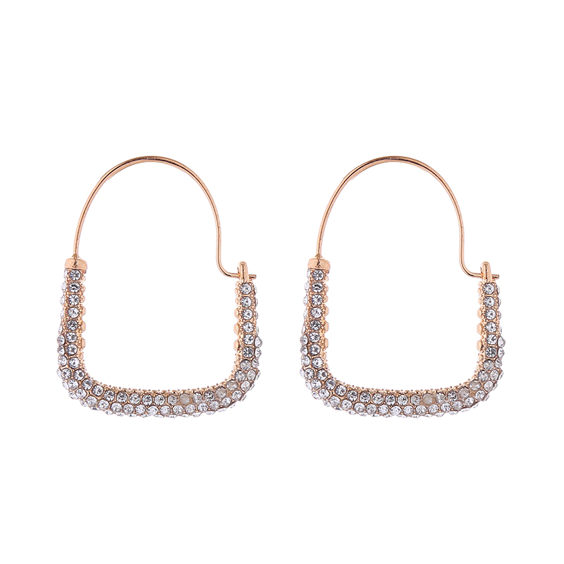1 Pair Simple Style Geometric Inlay Alloy Resin Hoop Earrings display picture 7