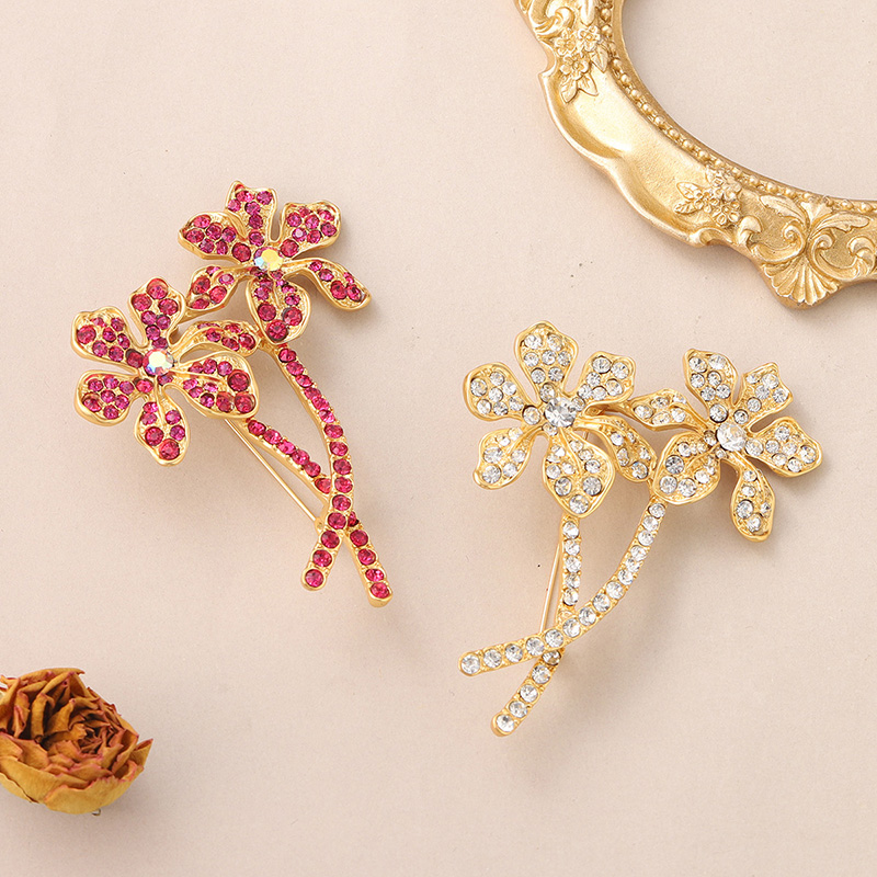 Elegant Flower Alloy Inlay Rhinestones Women's Brooches display picture 1