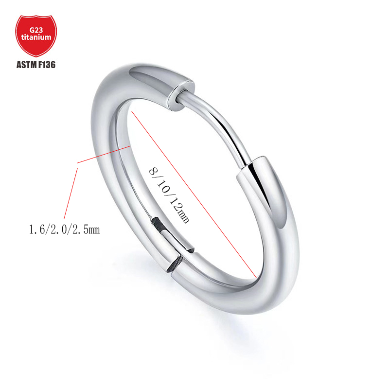 1 Piece Basic Simple Style Round Plating Pure Titanium Earrings display picture 1