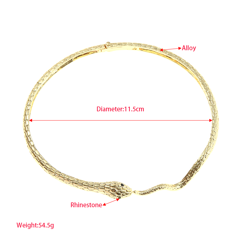 Elegant Cool Style Snake Alloy Plating Inlay Rhinestones Women's Necklace display picture 1