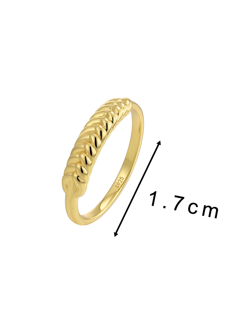 Sterling Silver Simple Style Twist Rings display picture 1