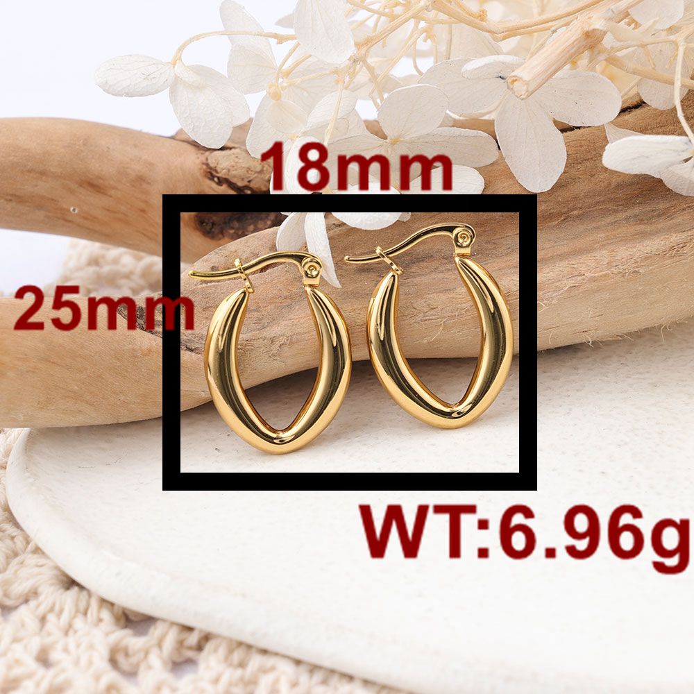 1 Pair IG Style Geometric Plating 304 Stainless Steel Hoop Earrings display picture 4