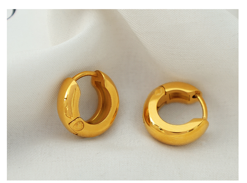 1 Pair Elegant Oval Plating Titanium Steel Hoop Earrings display picture 9