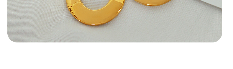 1 Pair Elegant Oval Plating Titanium Steel Hoop Earrings display picture 12