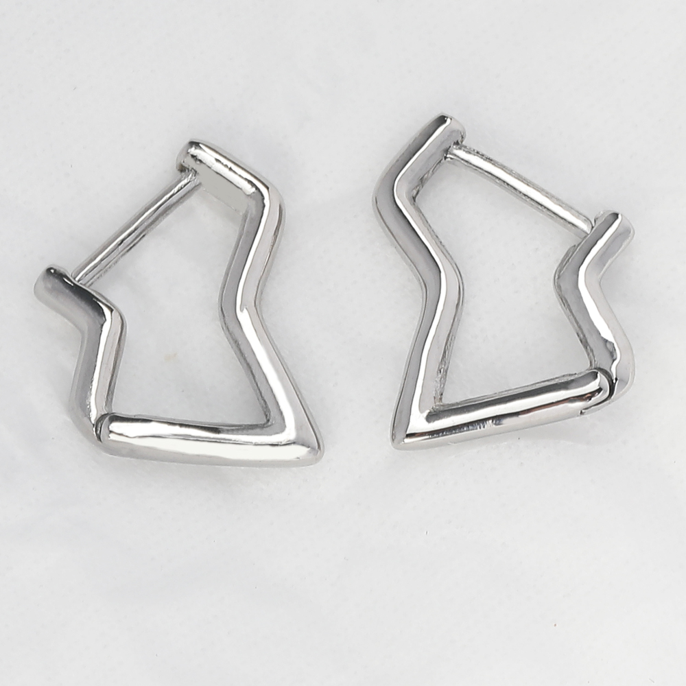 1 Pair Simple Style Irregular Polishing Stainless Steel Hoop Earrings display picture 1