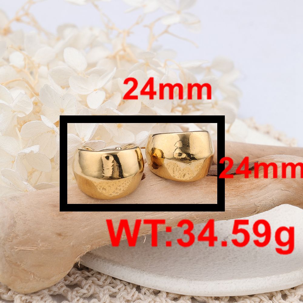 1 Pair IG Style Geometric Plating 304 Stainless Steel Hoop Earrings display picture 5